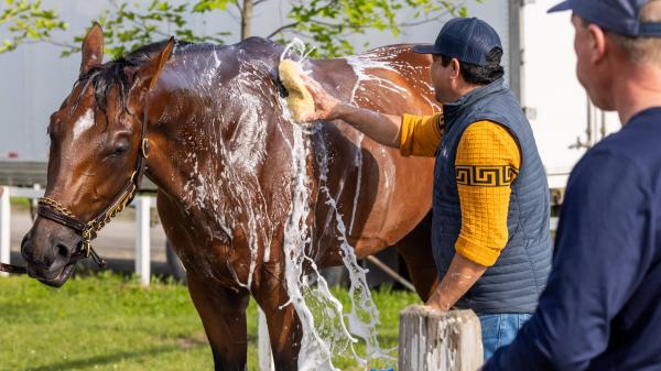 Preakness Winner Journalism confirmed its start in the Belmont Stakes