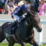 Royal Ascott highlights: strong finish from the Ombudsman, dominant Charles Darwin