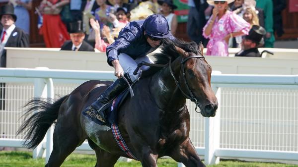 Royal Ascott highlights: strong finish from the Ombudsman, dominant Charles Darwin