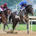Sovereignty overtakes journalism and posts an impressive Belmont Stakes victory