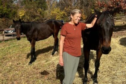 Success Story of Thoroughbred Aftercare Alliance: Noni's Journey to Love and Safety