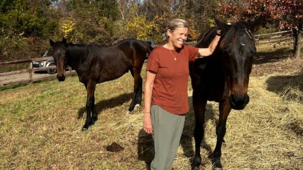 Success Story of Thoroughbred Aftercare Alliance: Noni's Journey to Love and Safety