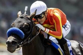 The game wins on Sunday with three rivals and wins in the stakes declared