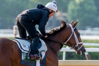 The talented trio brings a California vibe to the Belmont Stakes