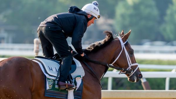 The talented trio brings a California vibe to the Belmont Stakes