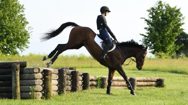 Thoroughbred Transformation Diary: Back to basics and building confidence