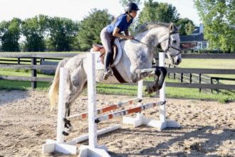 Thoroughbred Transformation Diary: Dynamic Duo Find Their Track