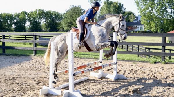 Thoroughbred Transformation Diary: Dynamic Duo Find Their Track
