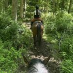 Thoroughbred Transformation Diary: Find the Best Way to Move Forward