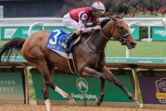 Thorpedo Anna easily wins and rebounds in the stakes of Fleur de Lis