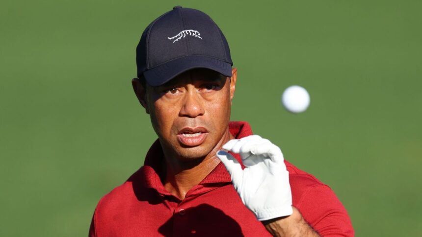 Tiger Woods - We open up a longer batter than "favors" and short iron play