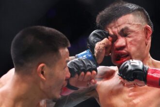 Joshua Van, Brandon Royval, UFC 317, Bonus, UFC