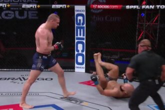 Ante Delija, UFC, PFL, MMA