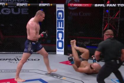 Ante Delija, UFC, PFL, MMA