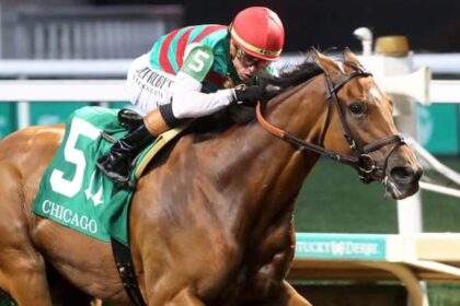 Vahva rebounds in Chicago stakes