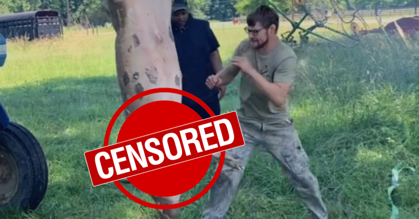 Watch: UFC’s Bryce Mitchell Swaps Heavy Bag for Hanging Pig in Viral Video