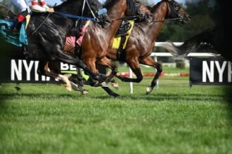 Whatlovelookslike euthanizes after injury in Saratoga
