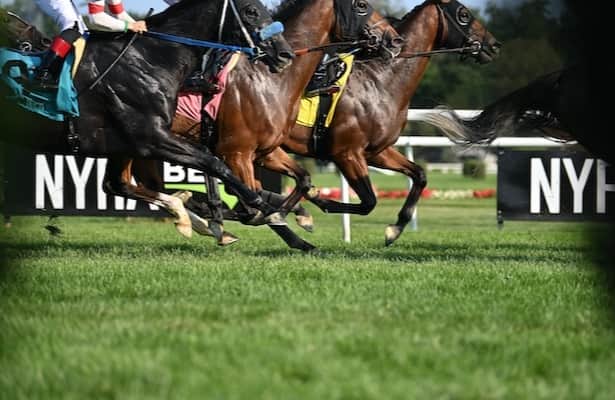 Whatlovelookslike euthanizes after injury in Saratoga