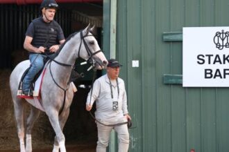 What's next for fans' favorite Sandman after the Triple Crown?