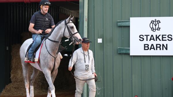 What's next for fans' favorite Sandman after the Triple Crown?