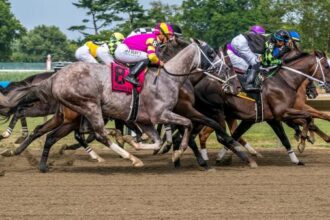 Where to watch: Horse Racing Report June 12th-15th