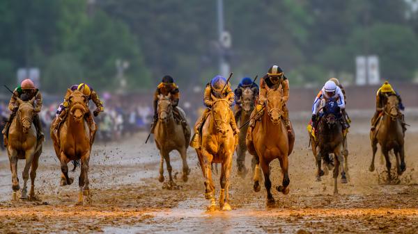 Which 2025 Belmont Stakes Runners will benefit from wet tracks?