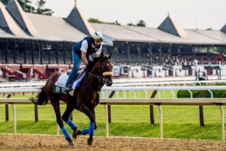 Why Baeza is being prepared to improve and win the 2025 Belmont Stakes