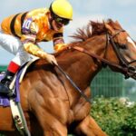 Wise Dan: How one racehorse defined the meaning of becoming a champion