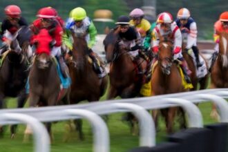 Wise Dan of 2025 bets at a glance