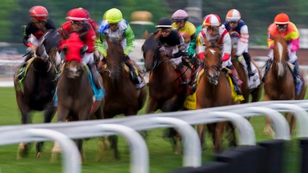 Wise Dan of 2025 bets at a glance