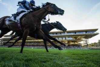 14-1 Leferd was the Grand Prix and the Grand Prix in Paris Trinity College