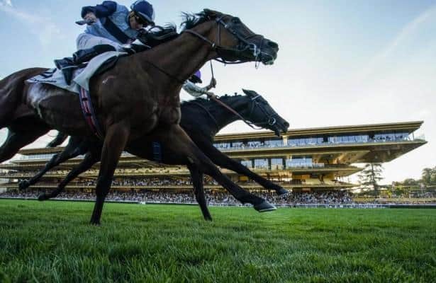 14-1 Leferd was the Grand Prix and the Grand Prix in Paris Trinity College