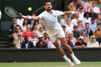 Novak Jjokovic is on track to record the 14th Wimbledon semi-finals