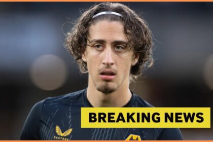 The Wolf Ace can ensure its movement as Roman