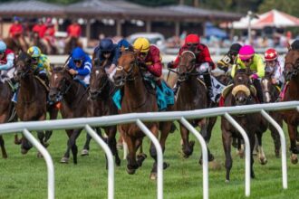 2025 Belmont Derby at a glance
