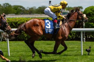 2025 Bowling Green Stakes at a glance