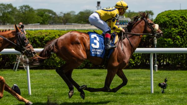 2025 Bowling Green Stakes at a glance