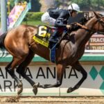 2025 Clement L. Hirsch bets at a glance