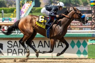 2025 Clement L. Hirsch bets at a glance