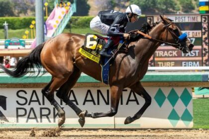 2025 Clement L. Hirsch bets at a glance