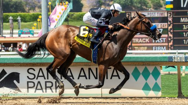 2025 Clement L. Hirsch bets at a glance
