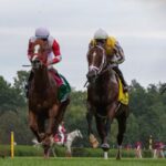 2025 Fourstardave Stakes Cheat Sheet