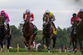 2025 Fourstardave Stakes Cheat Sheet