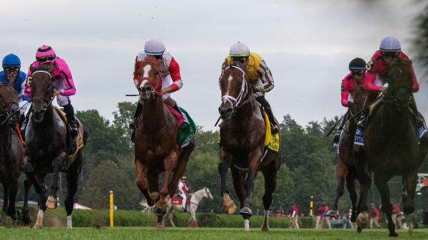 2025 Fourstardave Stakes Cheat Sheet