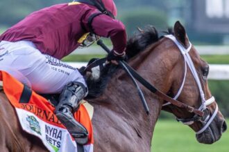 2025 Haskell Stakes Cheat Sheet