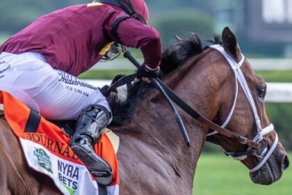 2025 Haskell Stakes Cheat Sheet