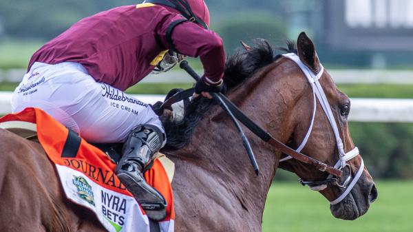 2025 Haskell Stakes Cheat Sheet
