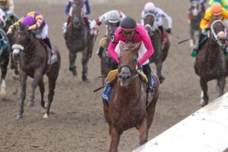 2025 Plate Trial Stakes