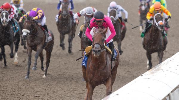 2025 Plate Trial Stakes