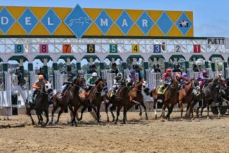 2025 San Diego's handicap at a glance